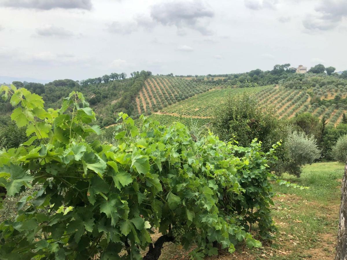 La Valle Di Anna Lastra a Signa Kültér fotó